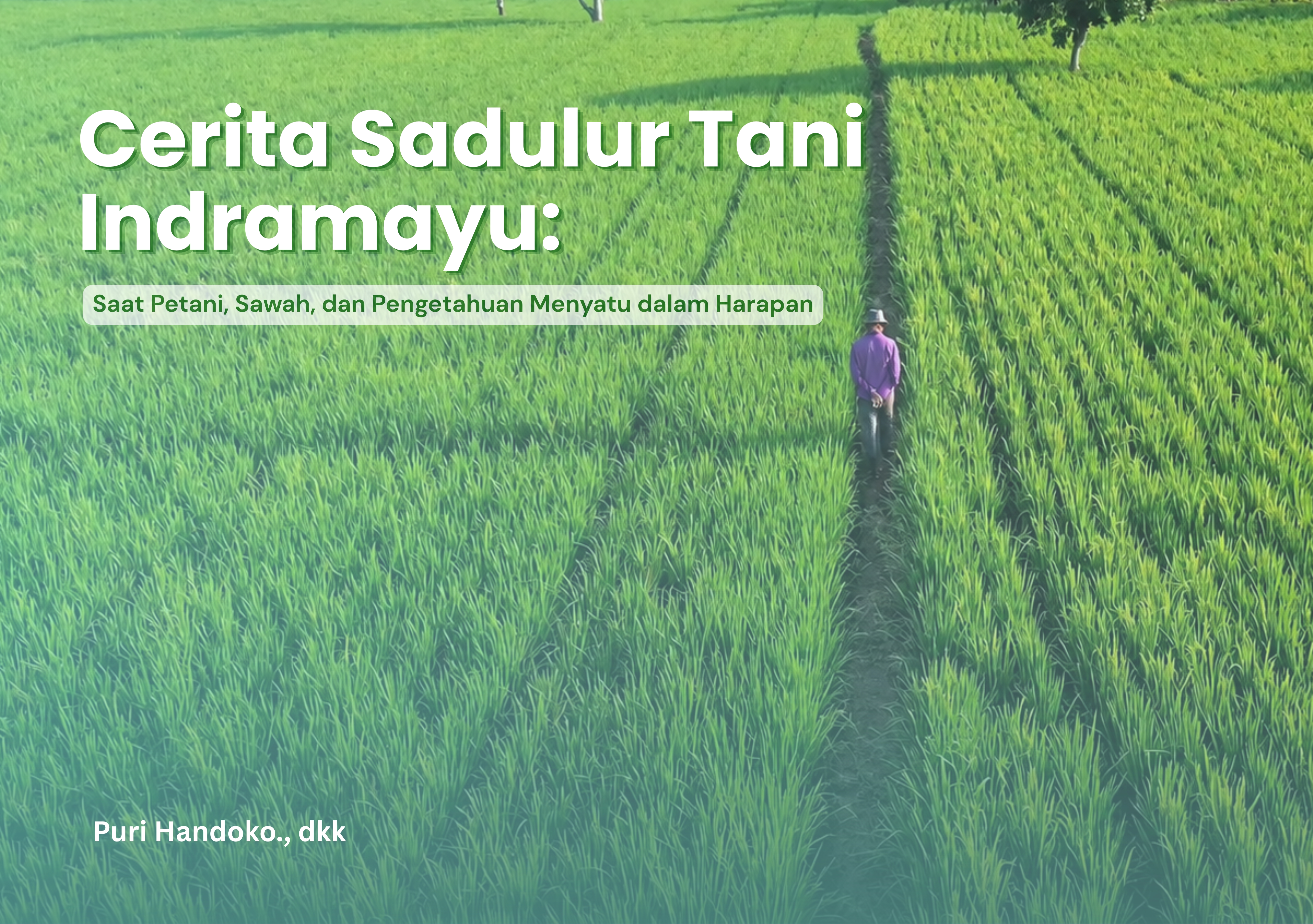 Cerita Sedulur Tani Indramayu; Saat Petani, Sawah, dan Pengetahuan Meenyatu dalam Harapan